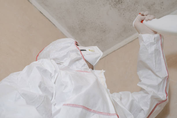 Best Mold Remediation for Healthcare Facilities  in Shavertown, PA